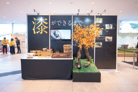特別展示コーナー　「漆ができるまで」